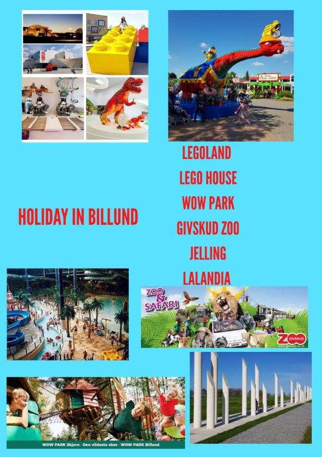 300Meter Walk To Lego House - 70M2 Apartment With Garden 比隆 外观 照片
