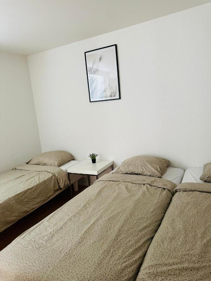 300Meter Walk To Lego House - 70M2 Apartment With Garden 比隆 外观 照片